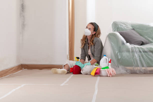 Reliable Commercial Mold Remediation contractor in Port Reading, NJ by WQB Mold Removal